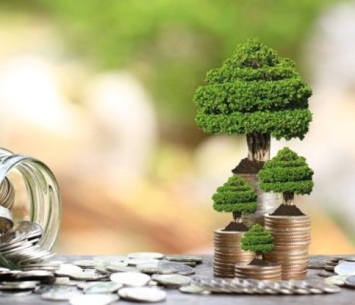 funding policy